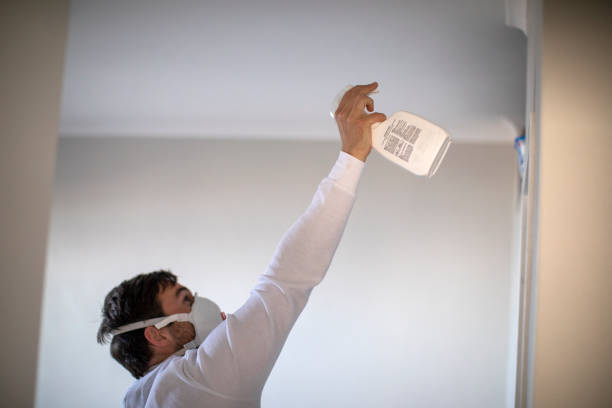 Best DIY Mold Remediation Support Services in Moon Lake, FL